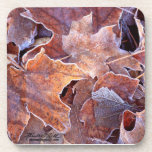 Frosted Forest Floor cork coasters