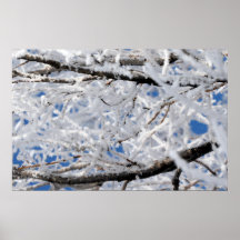 Frosted Tree Poster