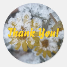 Frosted yellow flower- Thank you Sticker