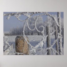 Frosty Paradise Print