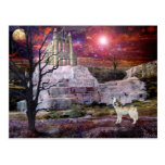 Frozen by Moonlight Post Cards