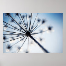 Frozen flower poster/canvas print