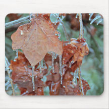 Frozen In Time Mouse Pads
