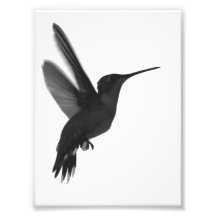 Frozen in Time Photographic Print