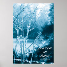 Frozen in Time Posters