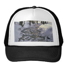 Frozen Path Mesh Hats
