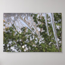 Frozen Paths Posters