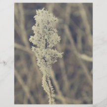 Frozen plant flyer design