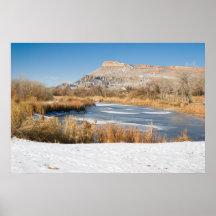 frozen pond poster