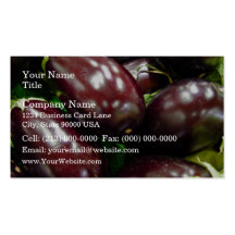 Fruit of eggplants business card template