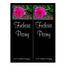 Fuchsia Peony Bookmarks Postcard