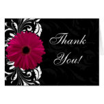 Fuchsia Scroll Gerbera Daisy w/Black and White Greeting Cards