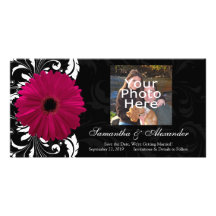 Fuchsia Scroll Gerbera Daisy w/Black and White Photo Cards