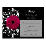 Fuchsia Scroll Gerbera Daisy w/Black and White Post Cards