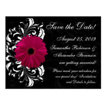 Fuchsia Scroll Gerbera Daisy w/Black and White Postcard