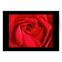 Full Bloom Rose Cards