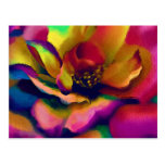 Full Rainbow Rose Postcard