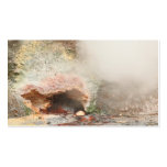 Fumarole - Pocket calendar Business Card Template