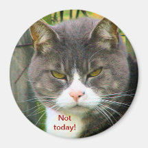 Funny ANGRY CAT saying, "NOT TODAY!" Refrigerator Magnet