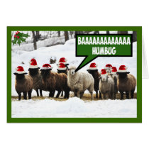 Funny Bah Humbug cards