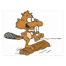 Funny Beaver Post Card