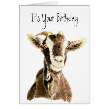 Funny Birthday, Over the Hill, Old Goat Humour Card