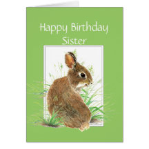 Funny Birthday Sister, Cute Rabbit, Carrot Cake Cards