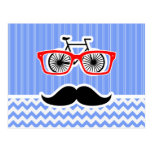 Funny Blue Chevron Hipster Post Cards