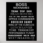 Funny Boss Nicknames and Job Titles Office Poster