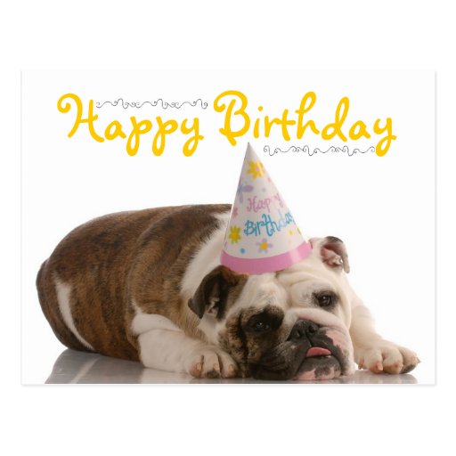 funny_bulldog_birthday_postcard-r012893a