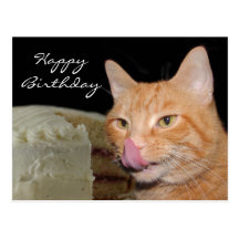 Funny cat Birthday Postcard