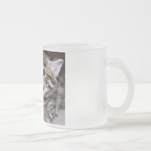 Funny Cats Coffee Mug