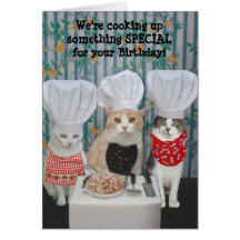 Funny Chef Cats Birthday Greeting Card