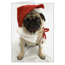 Funny Christmas Card - Puggy