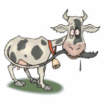 funny cow biting tail photo cutouts