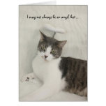Funny/Cute Angel Card
