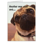 Funny Cute Humourous Pug Dog Birthday Card
