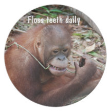 Funny Dentist Flossing Advice Party Plate