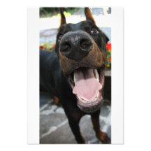 Funny Doberman Custom Invite