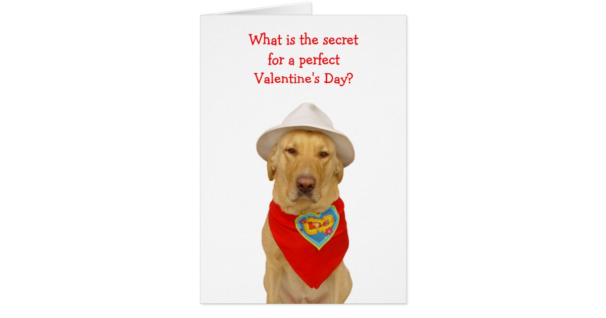 Funny Dog/Lab Valentine for Anyone Greeting Card | Zazzle