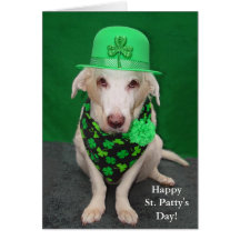 Funny Dog St. Patty's Day Cards