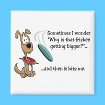 Funny Frisbee magnet magnets