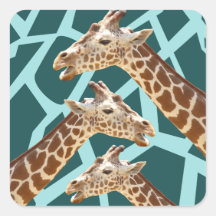 Funny Giraffe Print Teal Blue Wild Animal Patterns Square Sticker