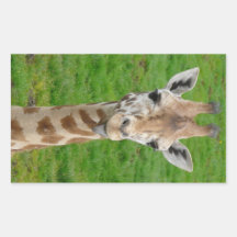 Funny Giraffe Sticking Out Tongue! Rectangular Sticker
