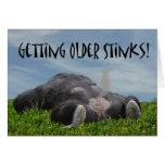 Funny Humourous Getting Older Monkey Happy Birthda Cards
