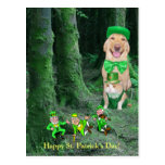 Funny Irish Dog, Cat & Leprechauns Postcard