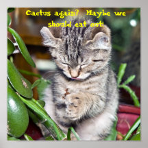 Funny Kitten / Eat Out Posters