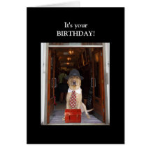 Funny Lab Male Birthday Greeting Cards