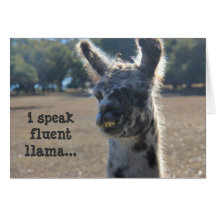 Funny Llama Birthday Card, I speak fluent llama...