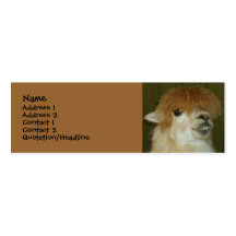 Funny Llama Business Card Template
